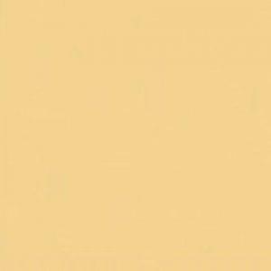 Paint and Paper Library Skeleton Coast Paint